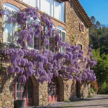 Chambre D'Hote Mas D'Alzon A St Jean Du Pin La Barriére 外观 照片