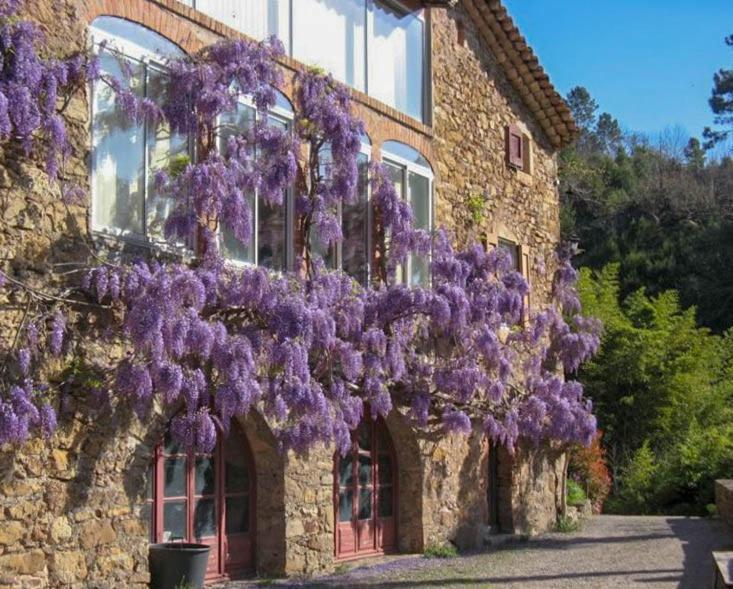 Chambre D'Hote Mas D'Alzon A St Jean Du Pin La Barriére 外观 照片